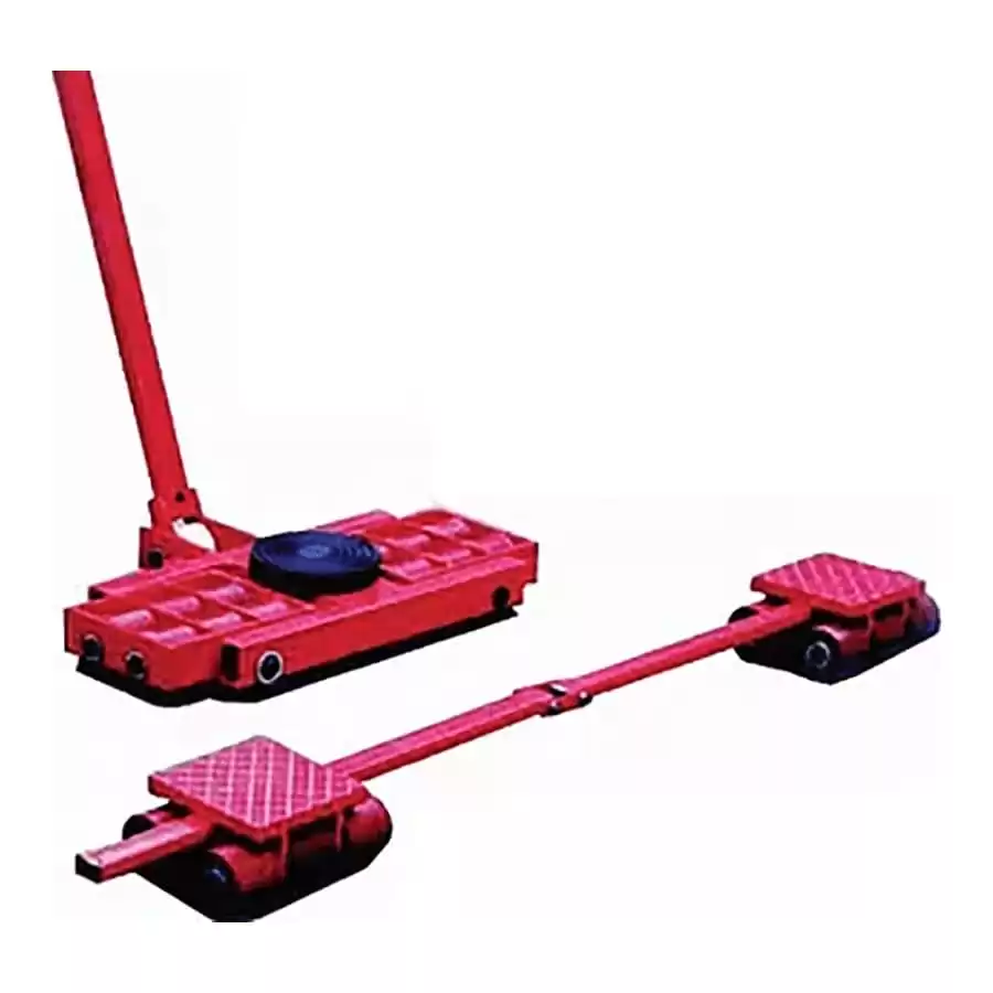 FOTO TORTUGAS DE CARGA